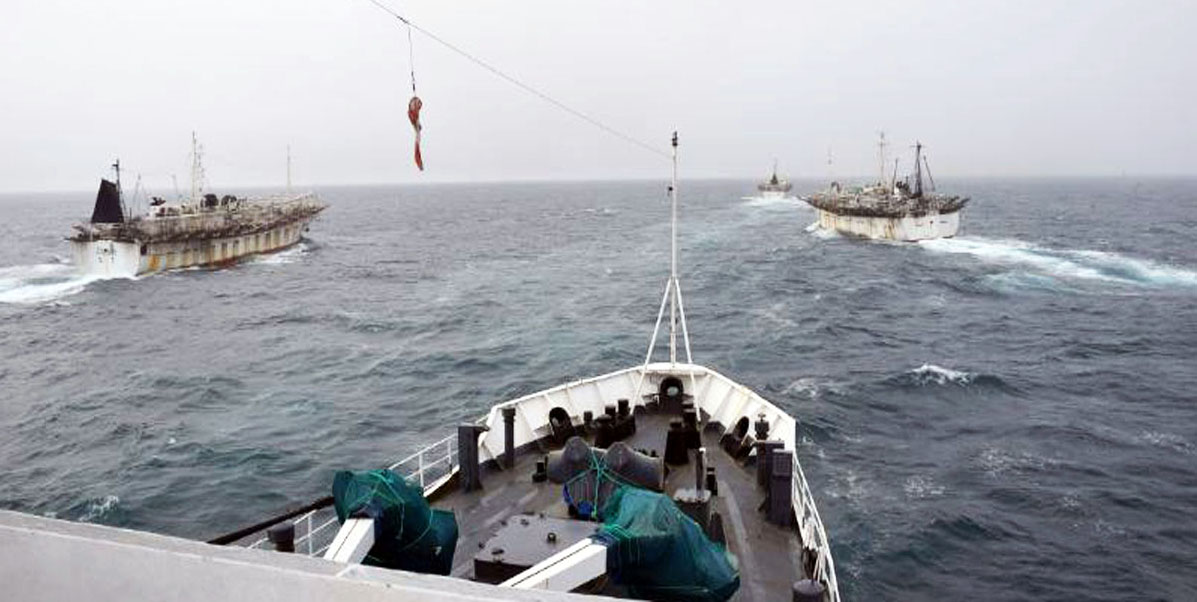 Las empresas rechazan la posibilidad de dar apoyo logístico a los barcos extranjeros que pescan en la Milla 201