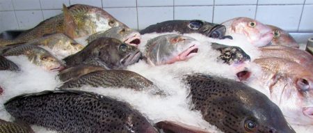 Realizarán charla informativa sobre sitio de subastas de pescado