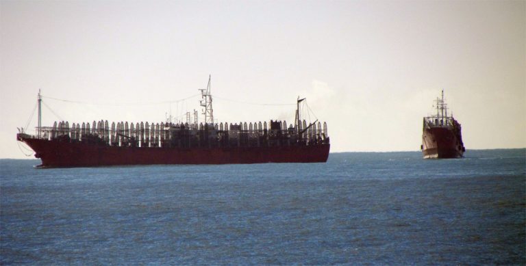 Calamar: inicio de temporada con rendimientos inferiores a 2019 y 2018