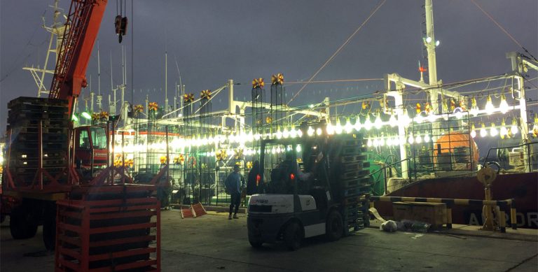 Mar del Plata vuelve a concentrar las mayores descargas de calamar