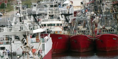 Coronavirus: el Ministerio de Transporte emite recomendaciones para buques