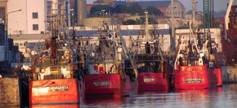 El abastecimiento del mercado interno y las exportaciones, en riesgo