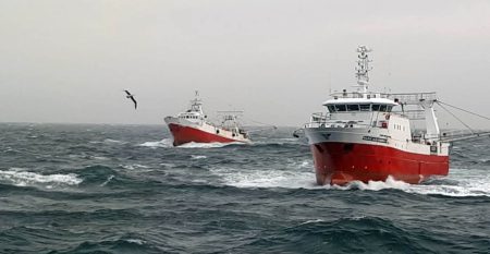 Fijan fecha para la prospecci贸n de langostino sobre el paralelo 41掳