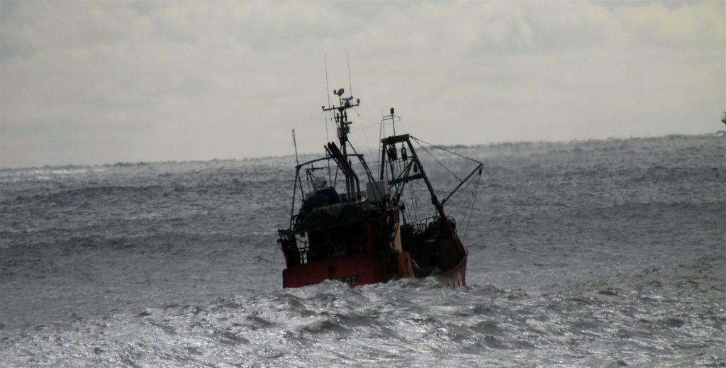 Los costeros comienzan a recuperar actividad
