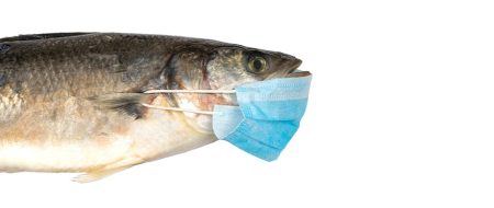 “El sector tiene que lidiar con una sombrÃa perspectivaâ€, alerta FAO