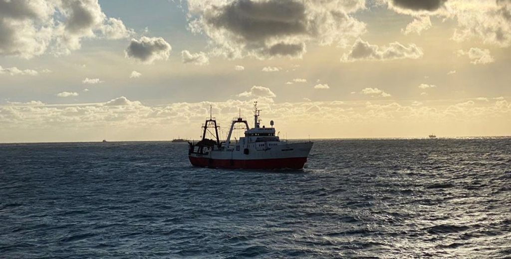 El congelado marca el pulso de la actividad en los muelles