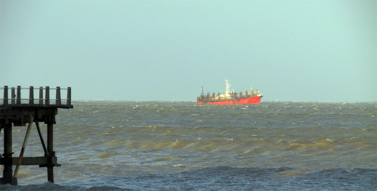 La flota potera se repliega sobre la costa de Mar del Plata