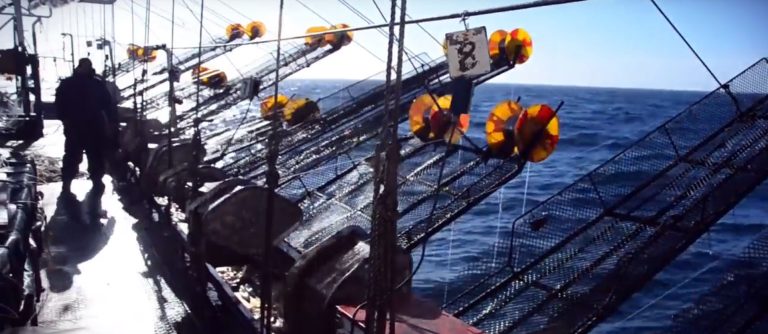 Consejo Federal Pesquero. Sesi贸n semanal, Resoluci贸n Nro.16-17/22