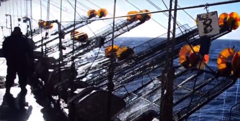 Buen arranque de los poteros al norte del 44°