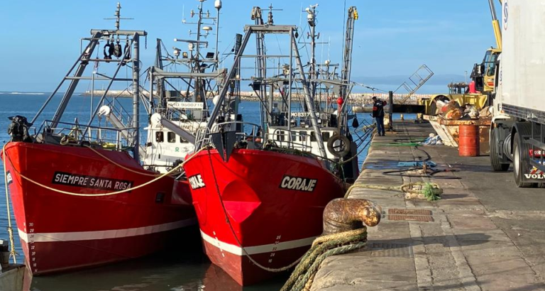 Comienza a palpitarse una temporada de langostino atÃpica