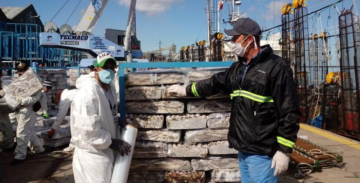 Bajo el pulso de calamar y merluza, Mar del Plata sostiene volumen
