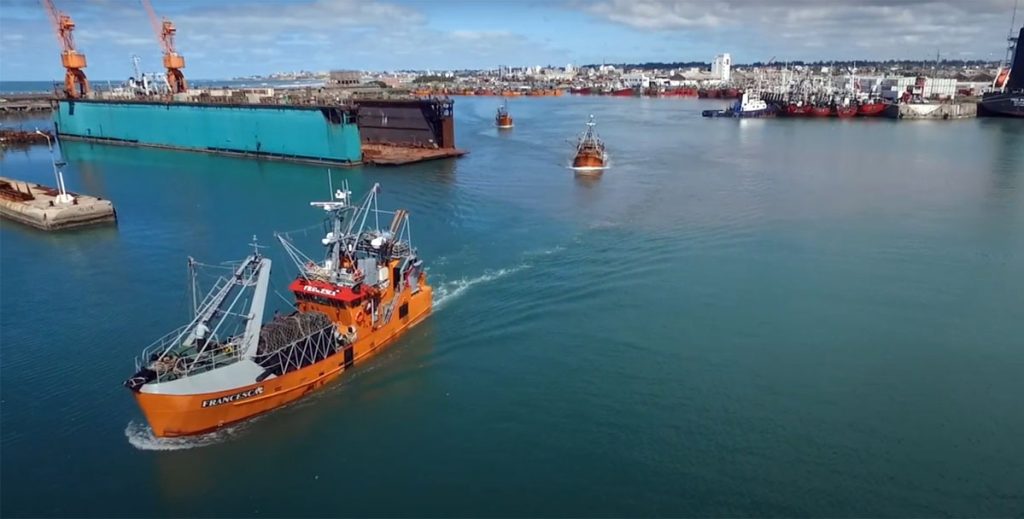 Fuerte caída en los desembarques de langostino y especies costeras