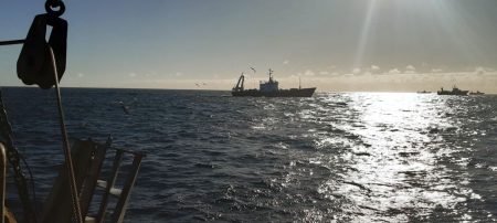La pesca, la actividad econ贸mica que m谩s cay贸 durante marzo