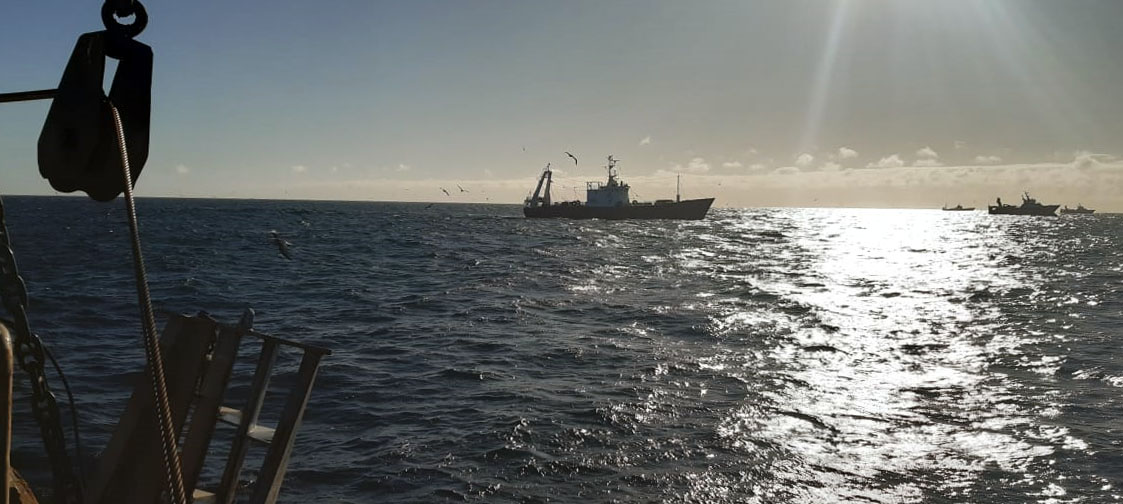 La pesca, la actividad económica que más cayó durante marzo