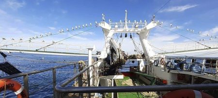 Fueron seleccionados los buques que participar谩n de la prospecci贸n de langostino