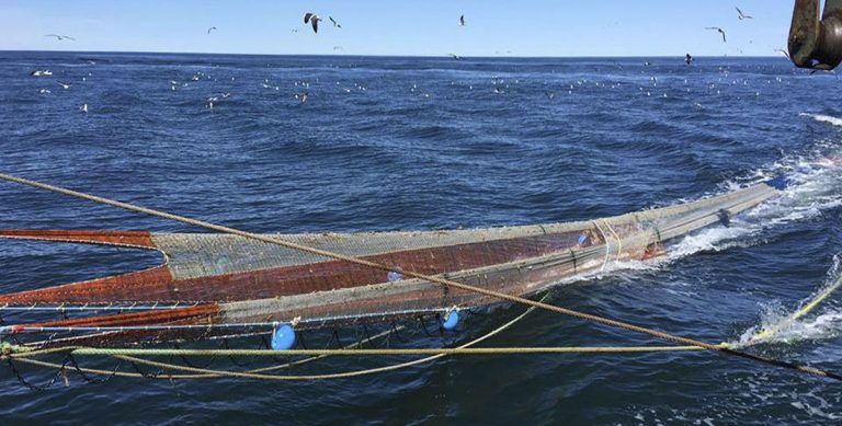 Realizaron taller virtual sobre selectividad y reducci贸n del descarte