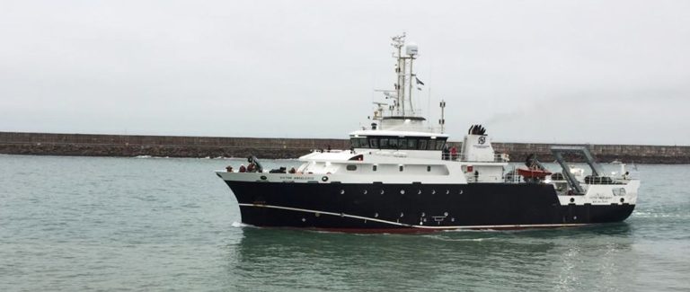 El Inidep inicia evaluación del langostino en fase pre-recluta