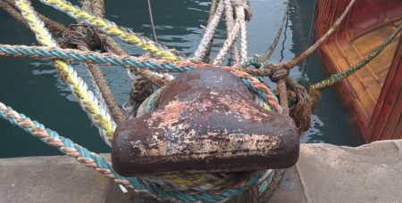 El viernes se presenta como un d铆a clave para la flota congeladora dedicada al langostino