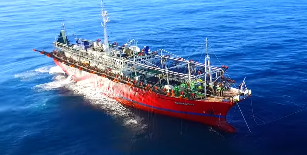 Este fue el rendimiento de cada potero en la temporada 2020