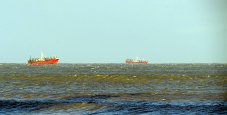 Cierran la temporada de calamar tras casi siete meses de operaciones