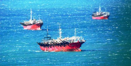 Poteros, al refugio cercano a la costa norte de Mar del Plata