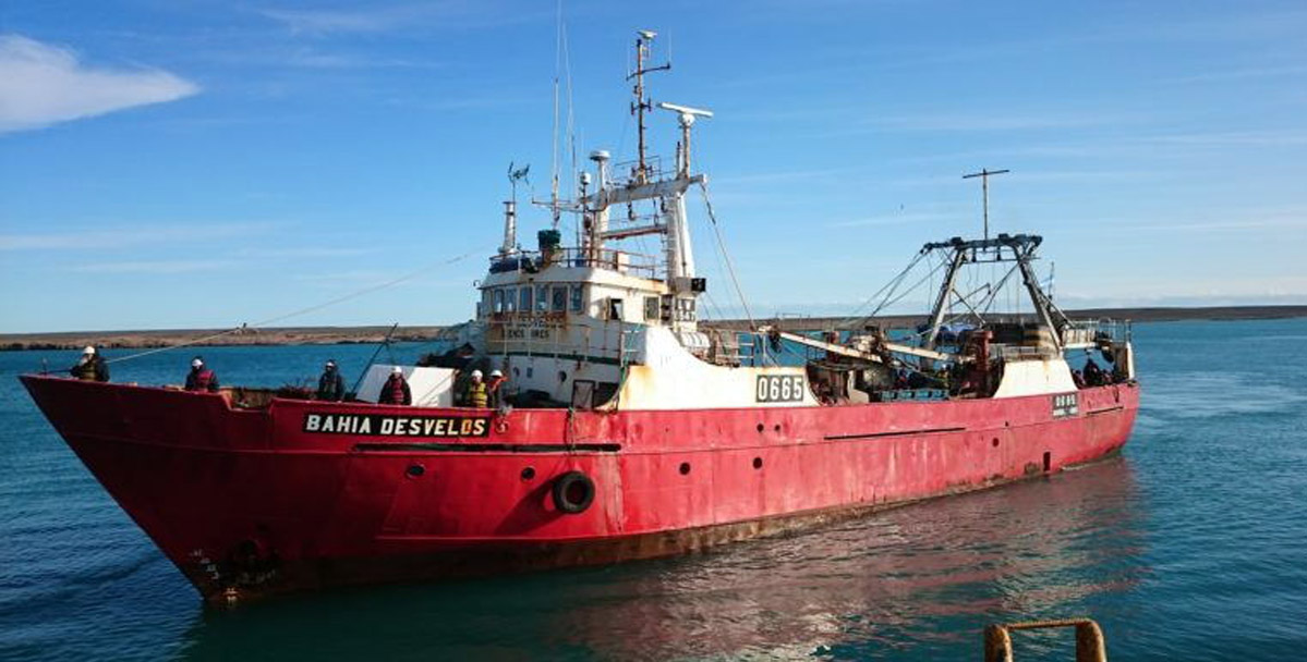 Designan buques para siguiente prospección de langostino en aguas nacionales