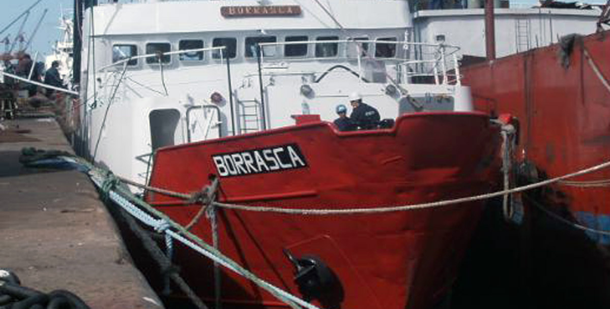 Fueron seleccionados los buques que realizarán nueva prospección de langostino