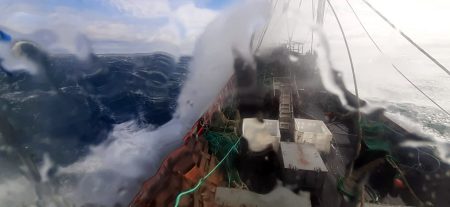 Langostino. Postergan prospección por mal tiempo en zona de relevamiento