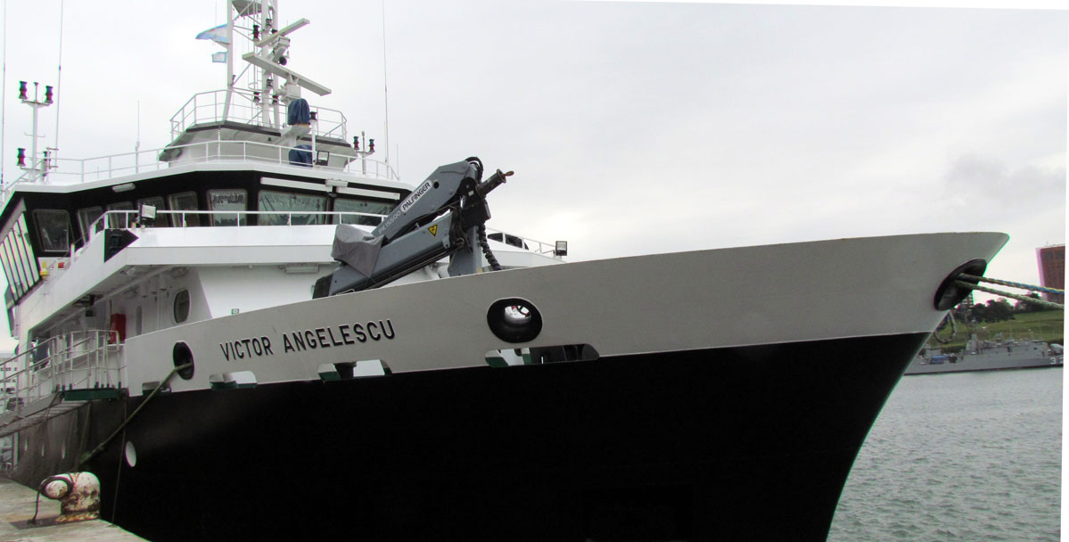 El Inidep pone en marcha la campaña de calamar