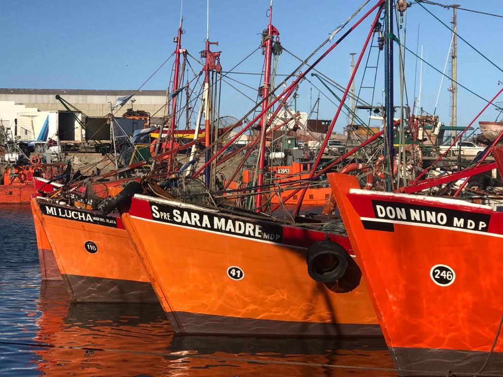 La pescadilla da aire a las lanchas