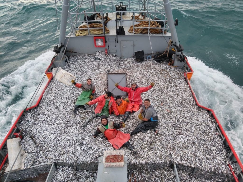 La Ancho铆ta pretende ser patag贸nica