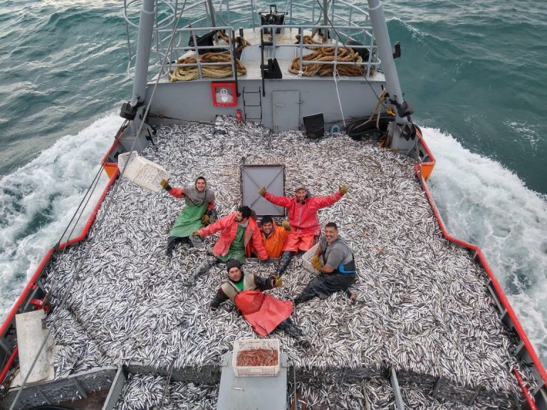 La AnchoÃta pretende ser patagónica