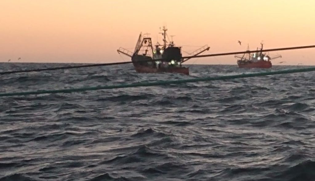 Nueva sesi贸n del Consejo Federal Pesquero