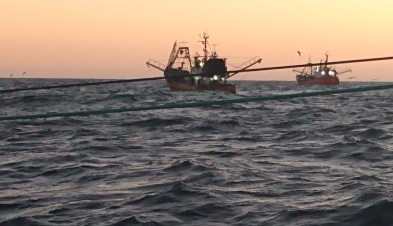 Nueva sesi贸n del Consejo Federal Pesquero