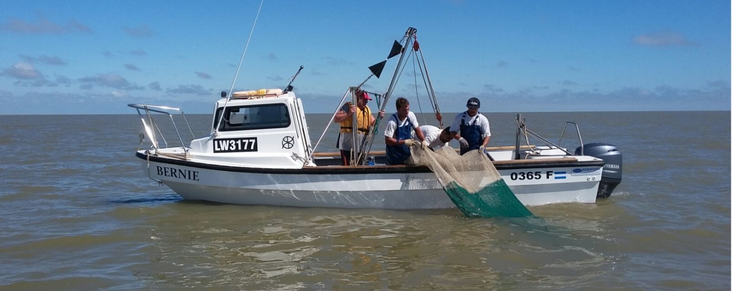 Santa Clara del Mar y Mar del Plata, mecas de la pesca embarcada, ofrecen  aventura y variadas especies - Ahora Mar Chiquita