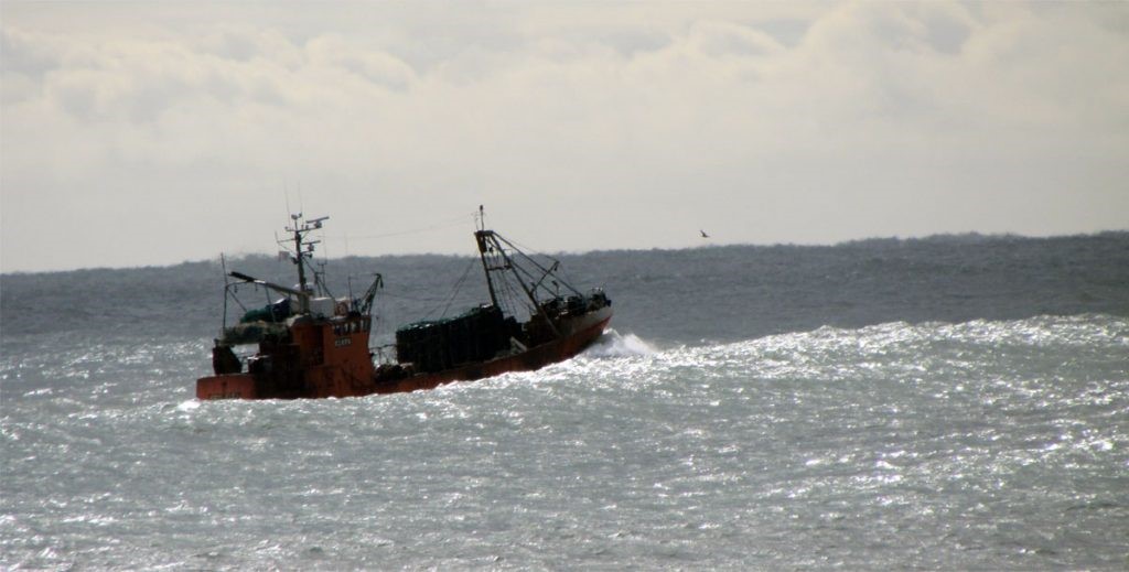Pez Gallo. Fijan captura máxima permisible