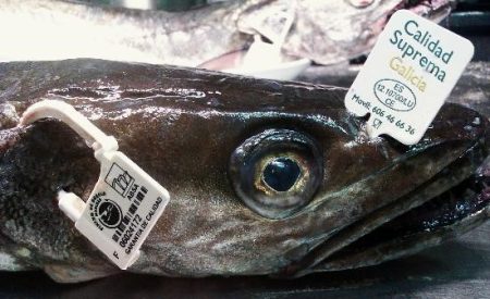 Trazabilidad. El desafío para la pesca argentina