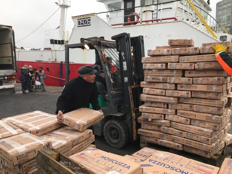 Evoluci贸n comparativa de capturas