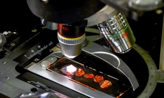 El BIP Víctor Angelescu finaliza 20 días de investigación