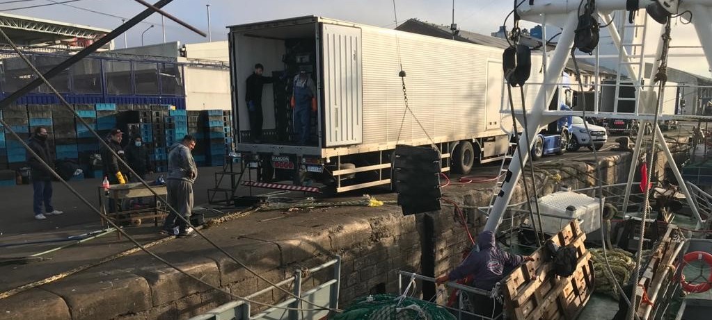 La zafra de langostino en aguas nacionales, se trasladó al norte