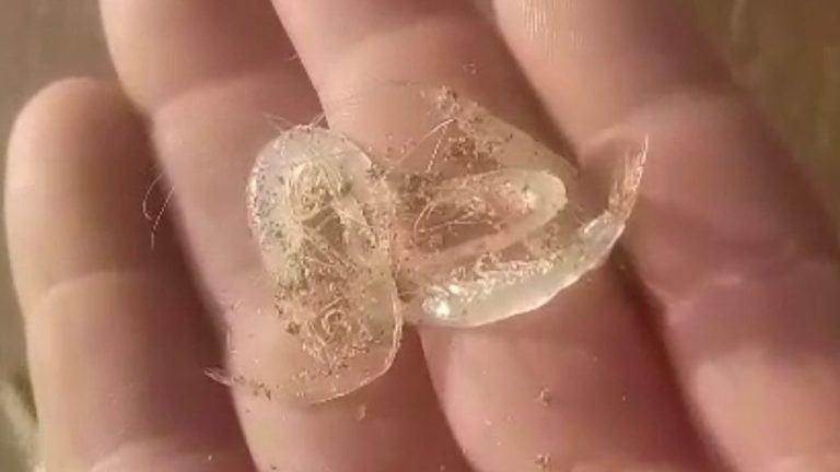 Sorpresa en Playa Grande, peisos petrunkevitchi