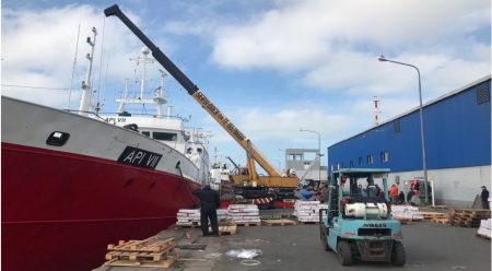 La pesca, pilar del crecimiento pos pandemia