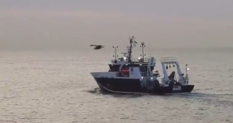 BIP Mar Argentino sale por primera vez a investigar