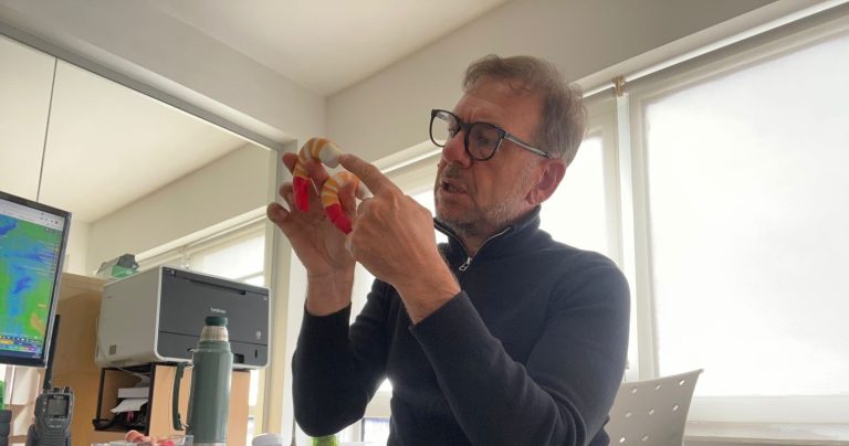 CAPEAR ALFA “ solicitamos el cierre de El Rincón por presencia de hembras maduras previas al desoveâ€