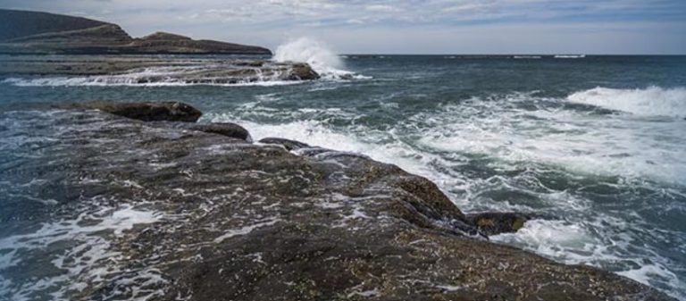 Consejo Federal Pesquero, Langostino bajo la lupa