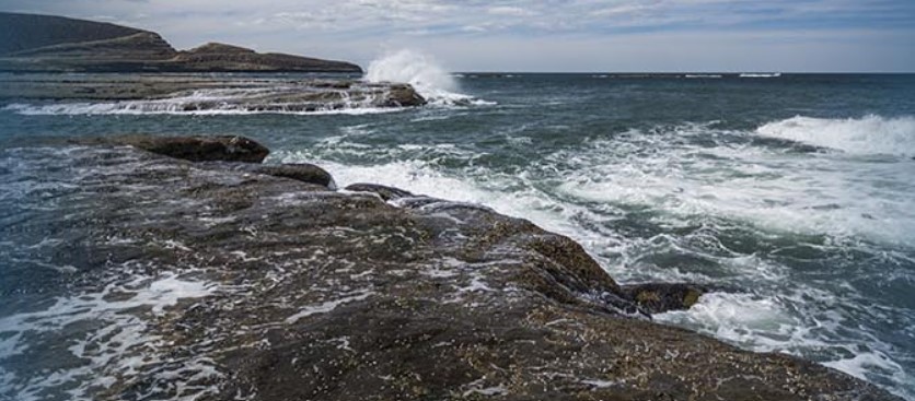 Consejo Federal Pesquero, Langostino bajo la lupa