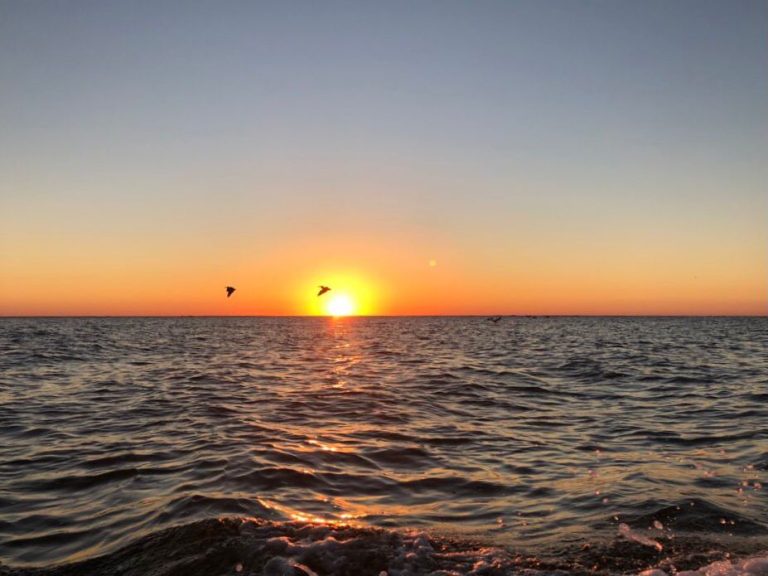 INIDEP registra temperaturas del mar por debajo de 10掳C