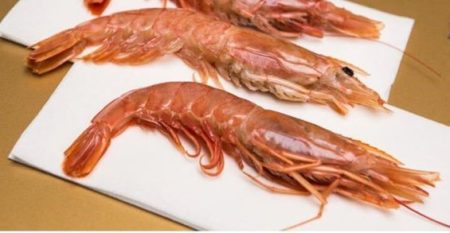 Langostino, fin de prospecci贸n anticipada de sub谩rea 11