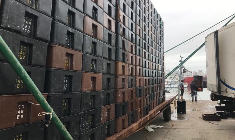 Fresqueros. Demoras en la reposición de cajones vacíos