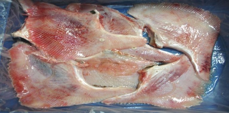 Industrias El Corsario, valor agregado y mano de obra con destino exportaci贸n